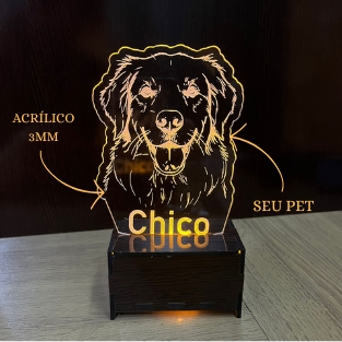 Luminária LED Acrílica Personalizada Conection Festival - Ki